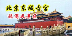 韩国人狠操日本人孕妇逼中国北京-东城古宫旅游风景区